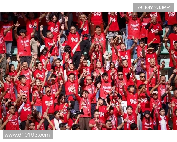 超级对决激燃全场塔图姆巅峰之战成为球迷热议最亮眼看点