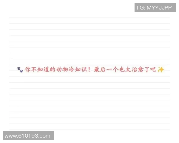 你不知道的VAR:十大冷知识大揭秘 你不知道的VAR:十大冷知识大揭秘